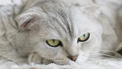 中国乒协：运动员孙闻情绪失控摔拍引发争议 给予停赛1轮处罚